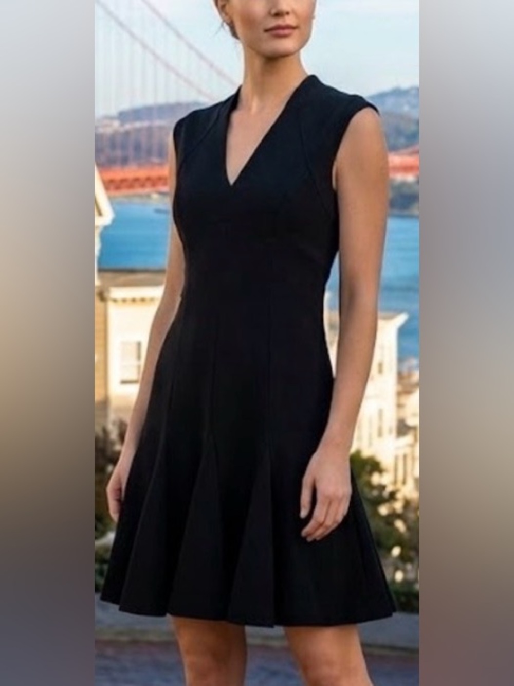 Black sleeveless skater dress